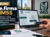 e.firma IMSS