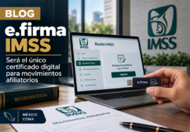 e.firma IMSS